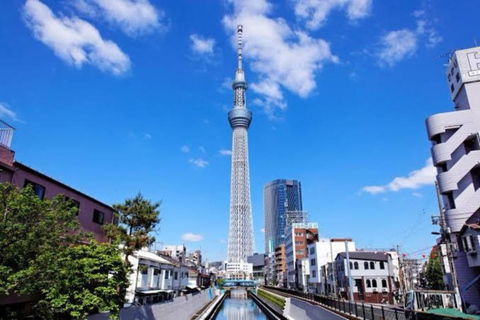 One Day Private Tokyo Tour mit englischem GuideEintägige private Tokio Tour mit englischem Guide