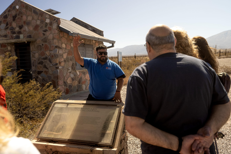 Cachi: Ruta Escénica y Experiencia Local desde Salta