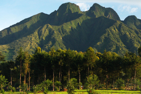 Rwanda 1 Day Mount Sabyinyo Hiking Adventure
