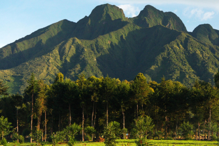 Rwanda 1 Day Mount Sabyinyo Hiking Adventure
