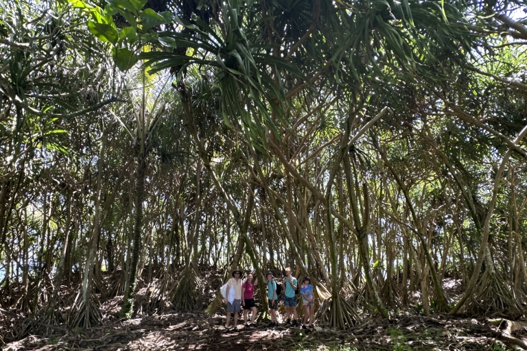 Private Wanderung zum geheimen Gezeitenteich im Dschungel, mittlere Entfernung2,5-Stunden-Erlebnis