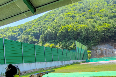 Desde Seúl: Excursión Privada de Tiro con Arco y Tiro