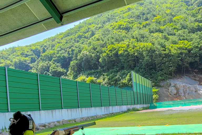 Desde Seúl: Excursión Privada de Tiro con Arco y Tiro