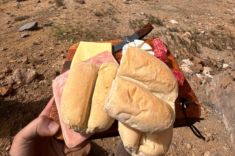 Santiago: Vintage motoravontuur in de Andes met picknick