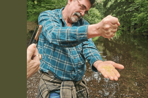 Wexford: Explore an Ancient Woodland with an Irish Witch