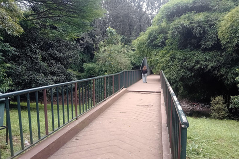 Nairobi: Michuki Park & National Museum Tour with Pickup