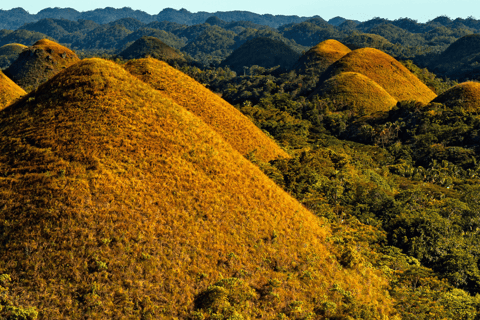 From Cebu: Bohol Day Tour with River Cruise and Lunch