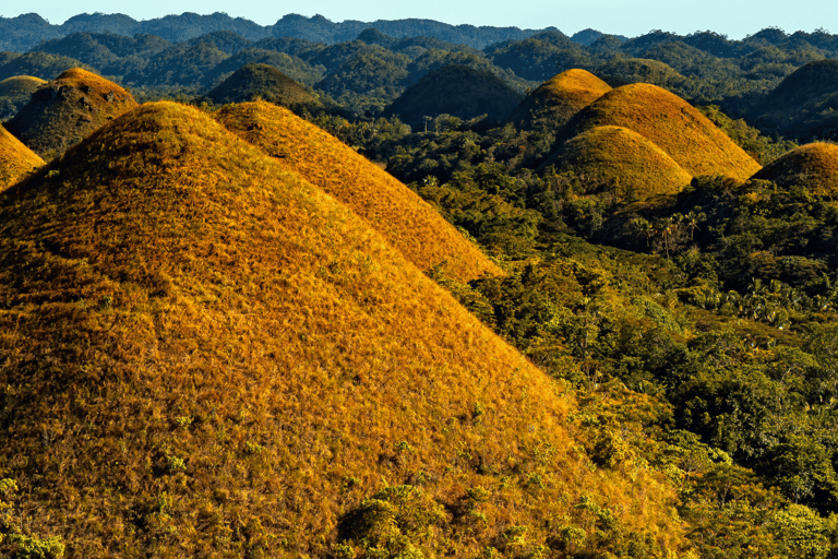 From Cebu: Bohol Day Tour with River Cruise and Lunch