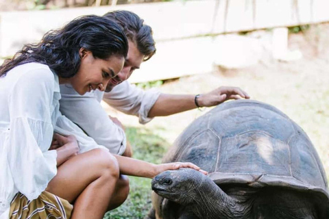 Zanzibar: Private Prison Island Tortoise Site & Stone Town. Private Tour With Meeting Point Pickup (No Entrance Fees)