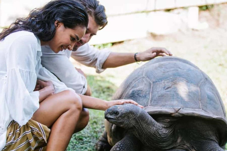 Zanzibar: Private Prison Island Tortoise Site & Stone Town. Private Tour With Meeting Point Pickup (No Entrance Fees)