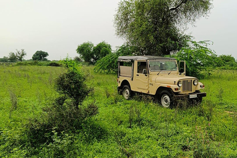 Aldea Bishnoi: recorrido de safari