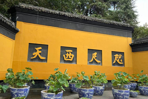 Hangzhou: Private Car Tour to Temple, Tea Village & Canal