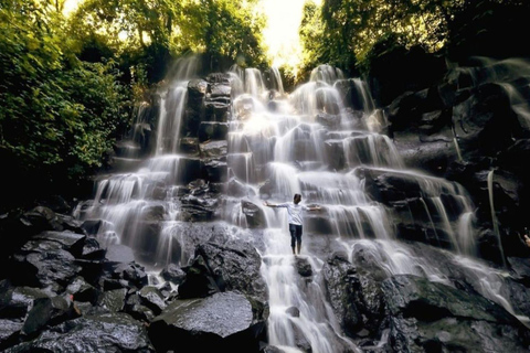 Ubud: Watervallen, Watertempel &amp; Rijstterrassen privétourPrivétour zonder entree Tikets