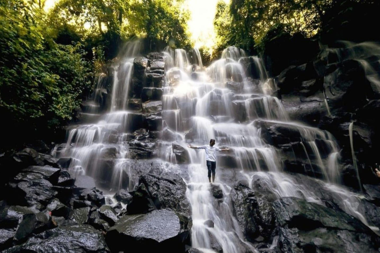 Ubud: Cascadas, Templo del Agua y Terrazas de Arroz Tour privadoTour privado con entrada Tikets