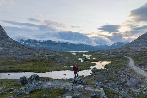 Explora os fiordes noruegueses e a vida selvagem a partir de Abisko.