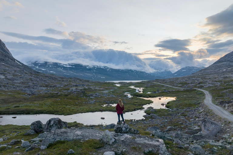 Explore the Norwegian Fjords and the Wildlife from Abisko.