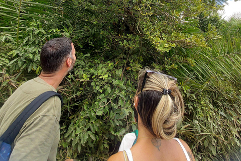 Zanzibar: Las Jozani i bar plażowy Kae Funk Sunset