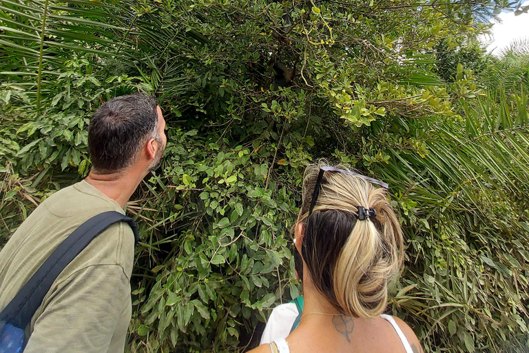 Zanzibar: Las Jozani i bar plażowy Kae Funk Sunset