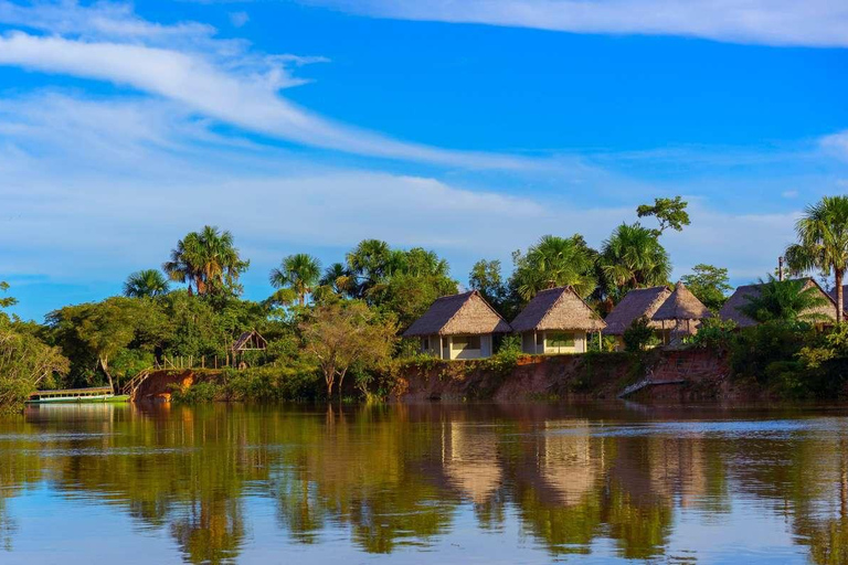 Iquitos : 2 jours en Amazonie, une merveille naturelle du monde