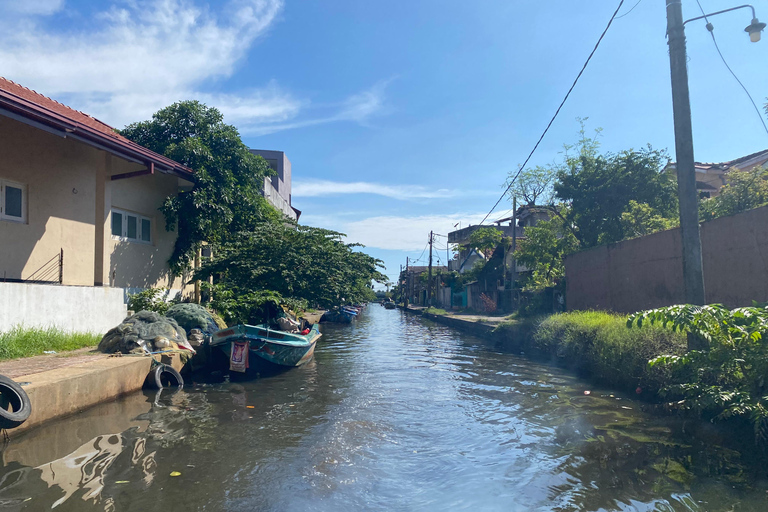 Sri Lanka: 7-Day Cultural Immersion Tour with Transfers