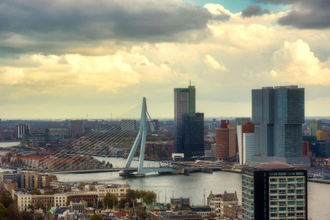 Amsterdam: The Hague & Rotterdam Half Day Trip with local