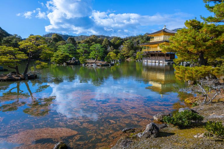 Best of Kyoto: the Bamboo Forest & Golden Temple E-Bike Tour