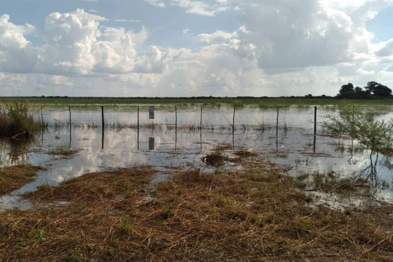 Shakawe: safari de 3 días por el este del OkavangoShakawe: Safari de 3 días por el este del Okavango