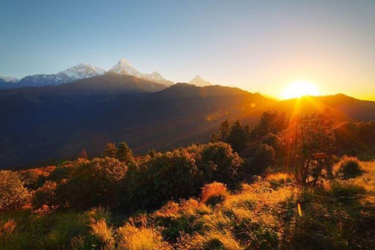 Depuis Pokhara : Trek Mohare Danda