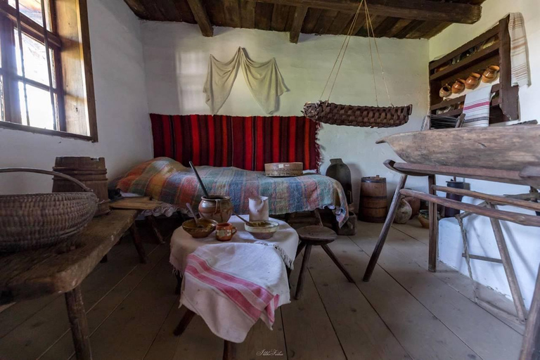 Brașov: Dumbrava Sibiului Museum & Sibiu Day Trip