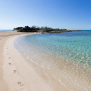 TOUR DELLA SPIAGGIA, RAGGIUNGI LE SPIAGGE DA SOGNO | GetYourGuide