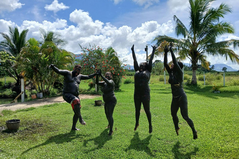 Nadi: wycieczka po fidżyjskiej wiosce z basenem błotnym Tifajek i gorącymi źródłamiHotele w Nadi / Port Denarau / Double Tree / Odbiór z Vuda