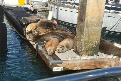 Los Angeles: Marina del Rey Kreuzfahrt auf einem klassischen Segelboot