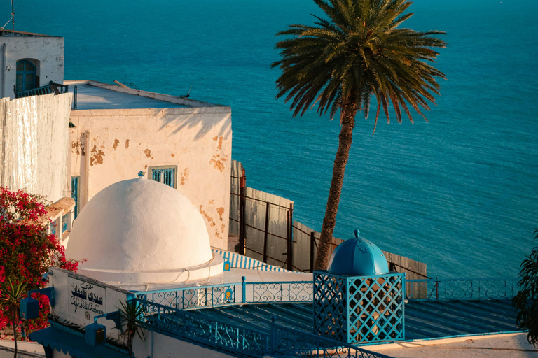 Hammamet: Sidi Bou Said and Medina Tunis Half-Day Tour Hammamet: Sidi Bou Said and Medina Tunis Tour 1/2 Day