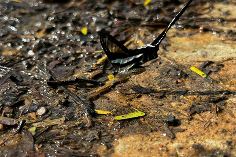 From Ho Chi Minh: Cat Tien National Park 2-Day Tour