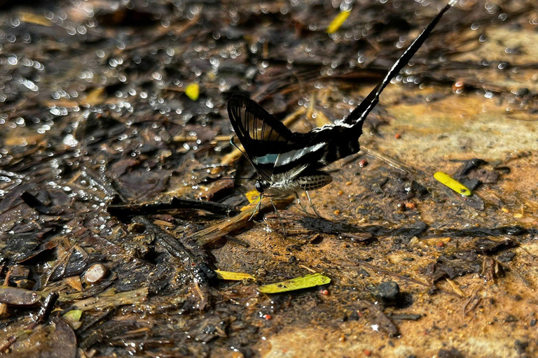 From Ho Chi Minh: Cat Tien National Park 2-Day Tour