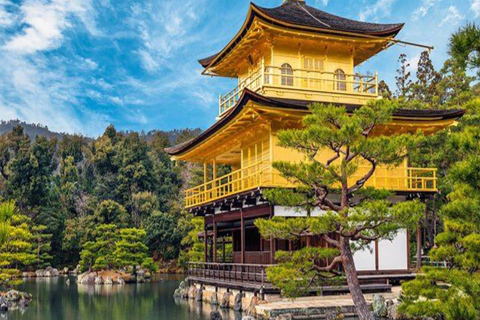 大阪/京都：京都和奈良私人定制一日旅行