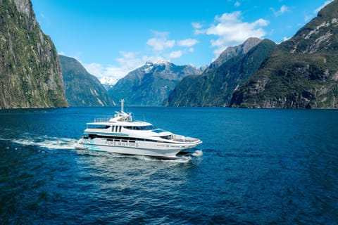 Milford Sound: Nature Cruise on a Modern Catamaran - Image 2
