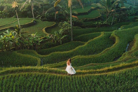Mount Batur Jeep Sunrise With Ubud Tour Options Hot spring ticket (meet at meeting point)