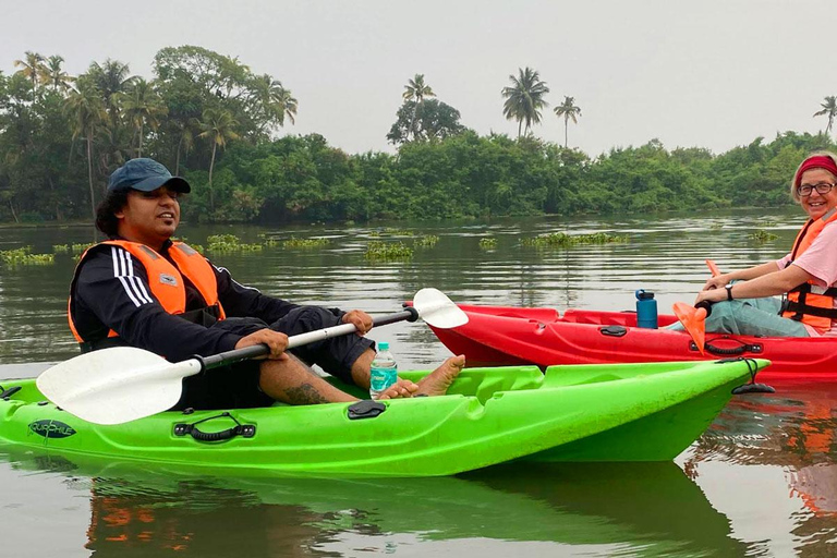 Canoe Ride through Mangroves in Kumbalangi From Cochin