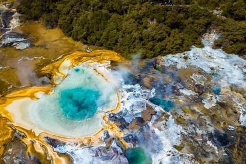 Rotorua : Vol en hydravion avec atterrissage à Orakei Korako