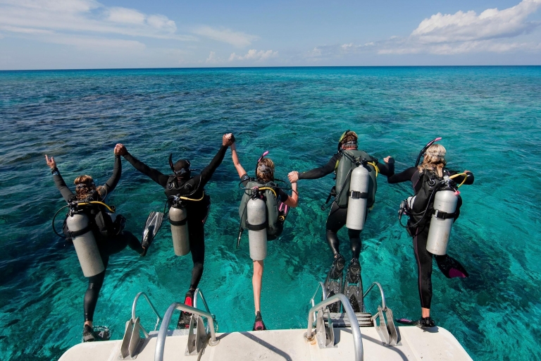 Punta Cana: Erkunde die Küste mit unserem TaucherlebnisFreiwasser-Taucherfahrung