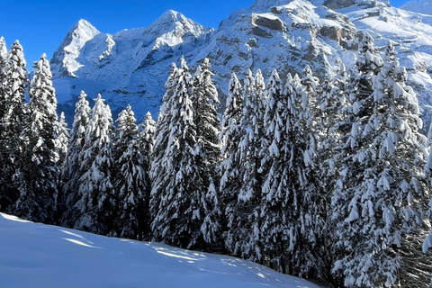 Jornada de senderismo en los Alpes suizosAventura con raquetas de nieve y fondue en los Alpes suizos