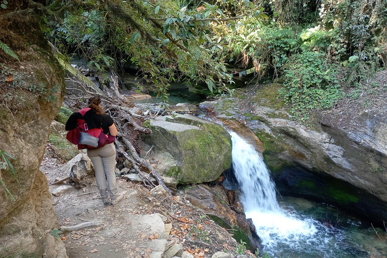 Ghorepani: Wanderung auf dem Poon HillStandard-Option