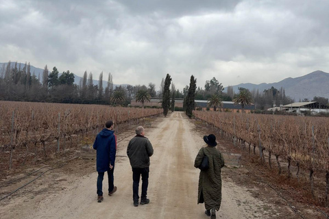 From Santiago: Casa Fevre Tour with Wine Tasting