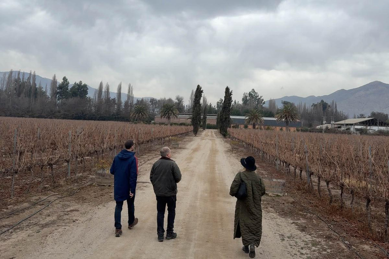 From Santiago: Casa Fevre Tour with Wine Tasting