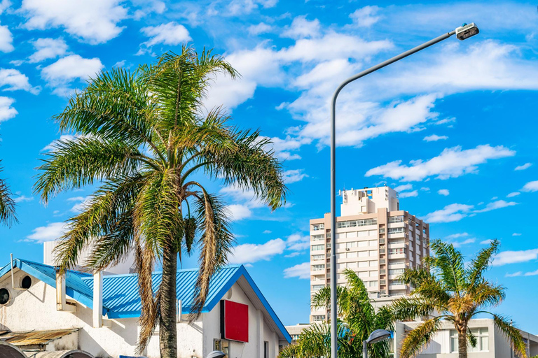 The Best of Punta del Este Old Town Private Walking Tour 3-hour: Old Town and Great Britain Square Tour