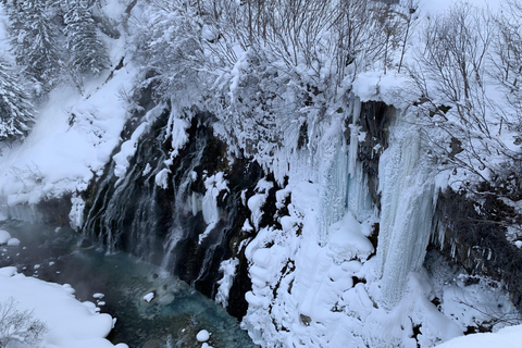 Départ de Sapporo : Visite à la journée du zoo d&#039;Asahiyama en hiverDépart de la Tour TV de Sapporo Déjeuner non compris