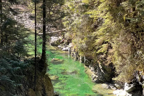 Vancouver: Rainforest Waterfall Hike and Suspension Bridge