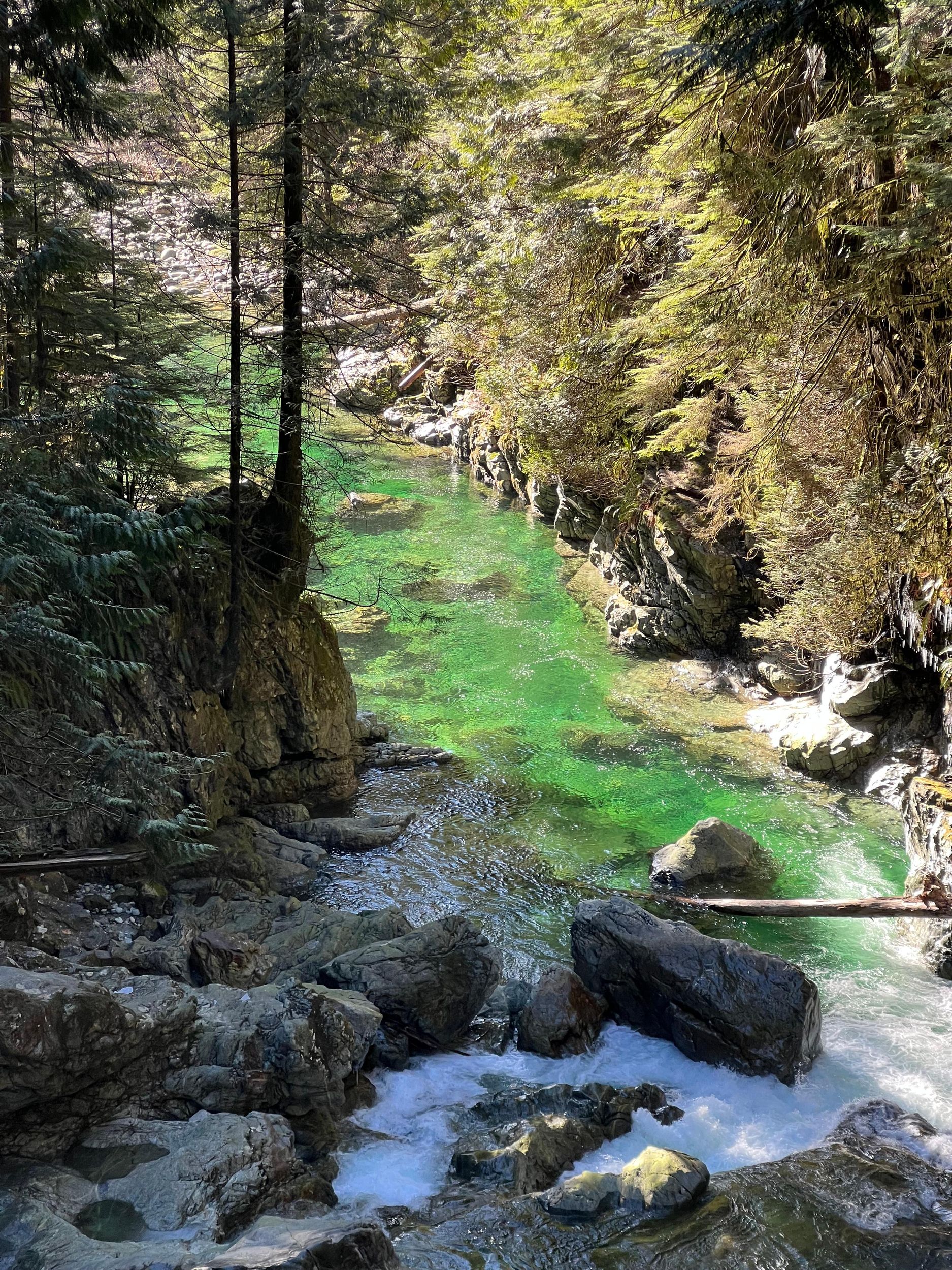 Vancouver: Regenwald-Wasserfall-Wanderung und Hängebrücke