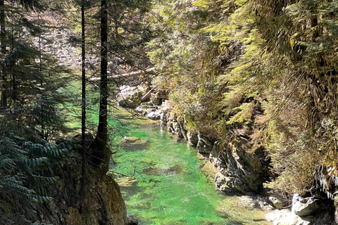 Vancouver: Regenwald-Wasserfall-Wanderung und Hängebrücke